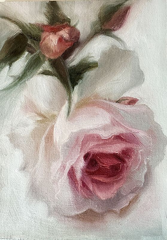 Rose Study I, Soft impressionist oil painting of a pale pink rose in bloom with delicate rosebuds and muted green leaves, painted in a dreamy, luminous style against a light background., 2026 oil painting on wood panel by Laura L. Krusemark