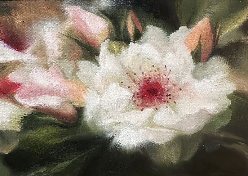 Rose Study II, Soft impressionist oil painting of a white wild rose with a deep pink center, surrounded by blush rosebuds and lush green foliage, rendered with luminous brushwork and a dreamy atmospheric background., 2026 oil painting on wood panel by Laura L. Krusemark