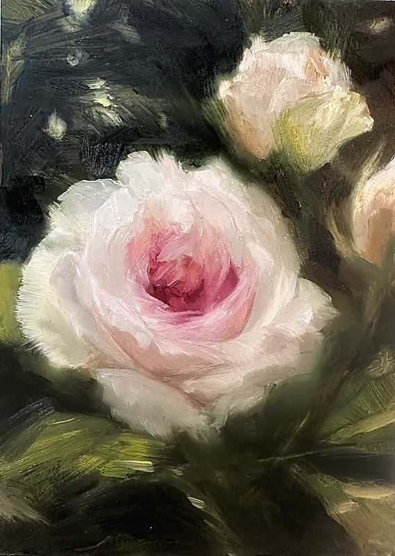 Rose Study III, Soft impressionist oil painting of a blush pink rose emerging from deep green foliage, with delicate unopened buds and luminous petals rendered in expressive, painterly brushstrokes., 2026 oil painting on wood panel by Laura L. Krusemark