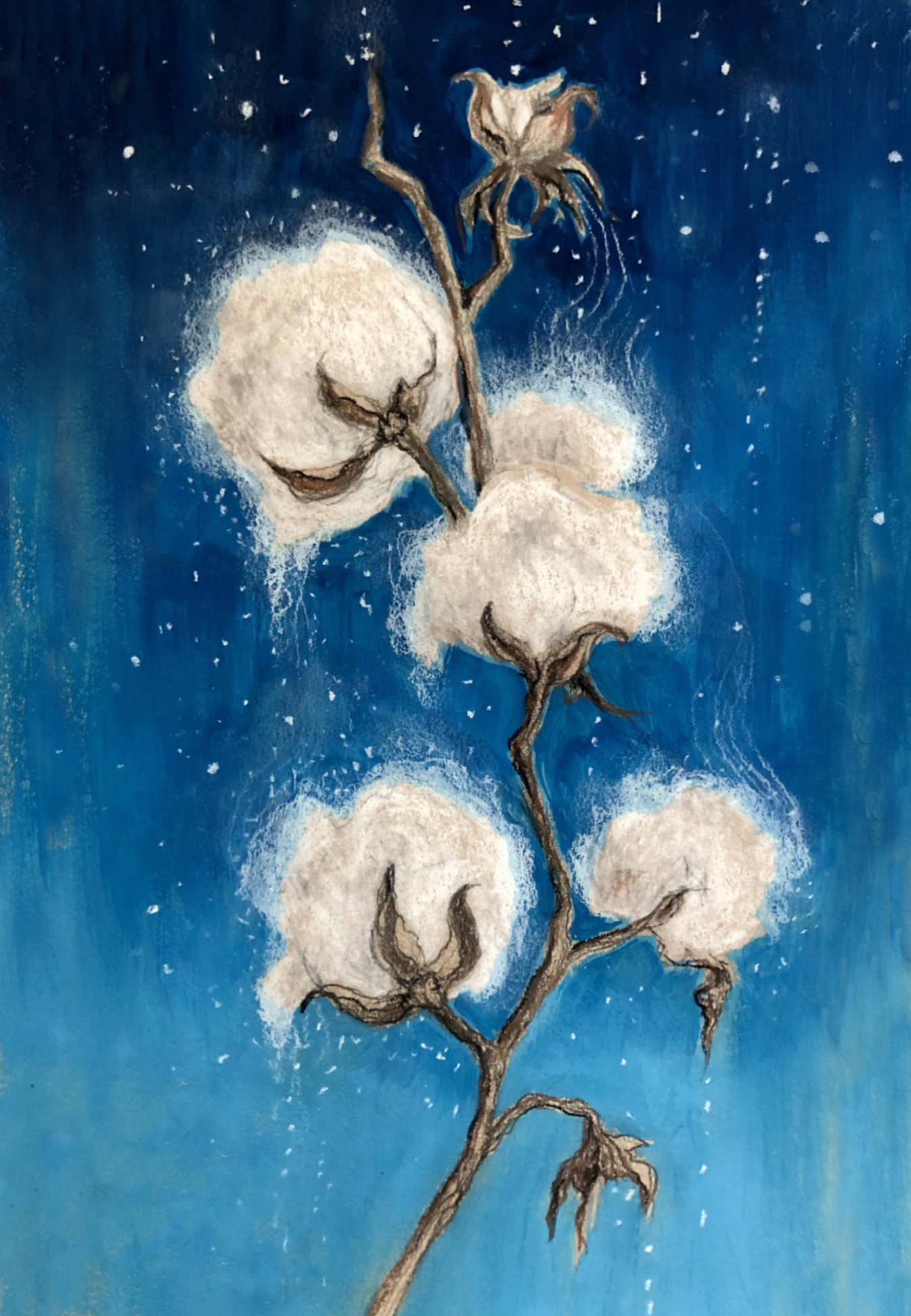 Cotton Clouds, cotton plant with white bolls on blue background, 2022 watercolor painting on paper by Laura L. Krusemark
