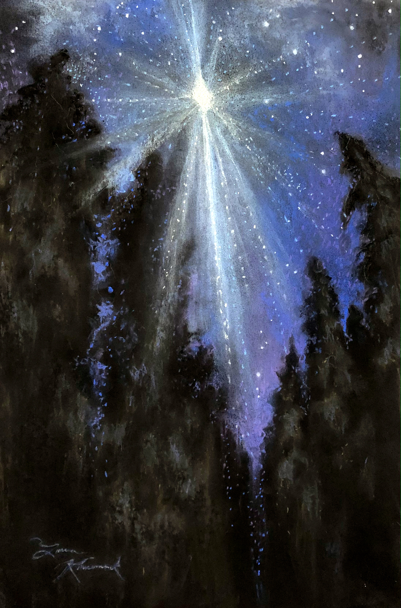 Starlight Pines, bright starburst in night sky above dark pine trees, 2022 pastel painting on paper by Laura L. Krusemark