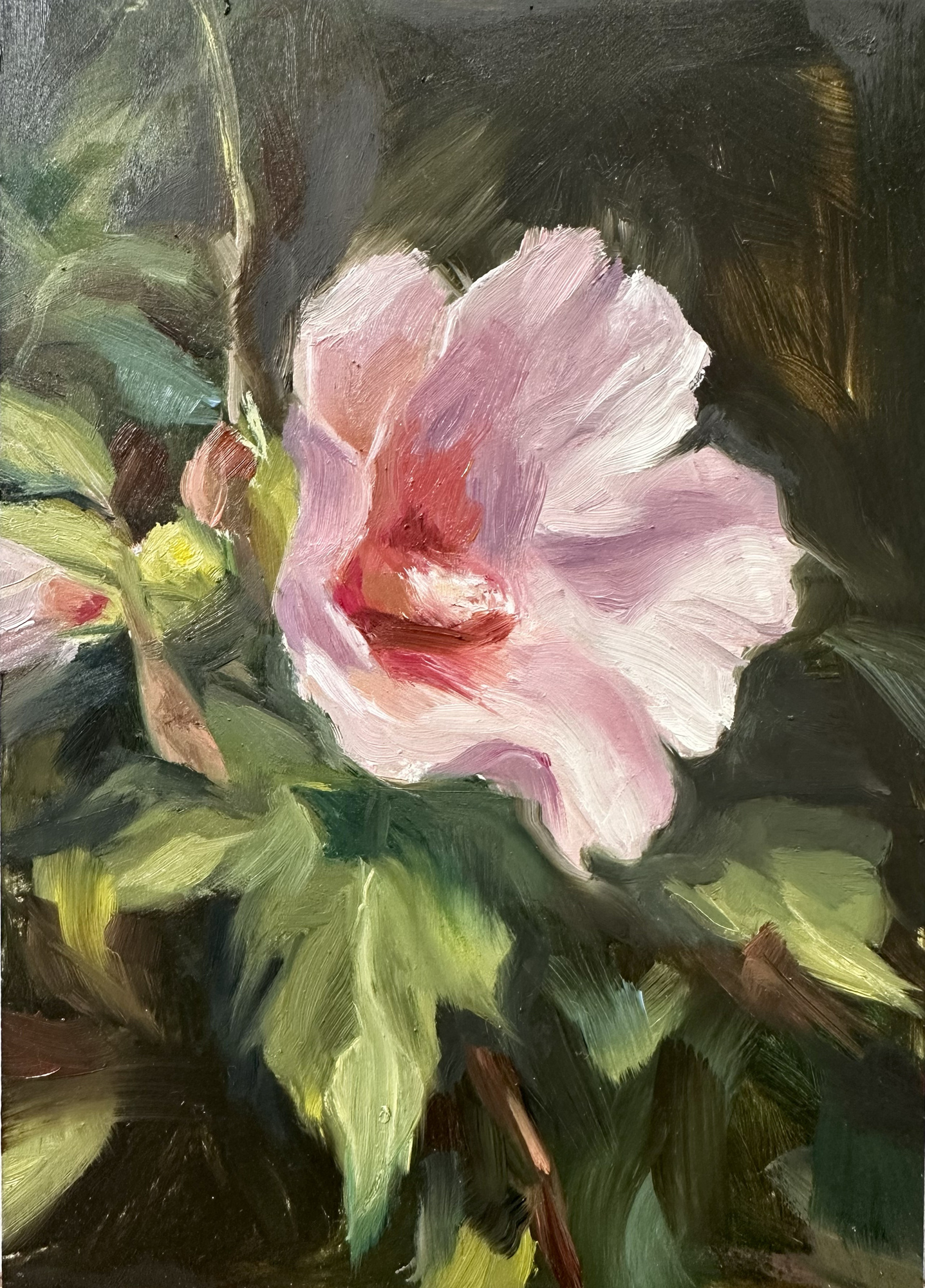 Rose of Sharon, pink hybiscus flower or rose of sharon with green leaves, 2026 oil painting on wood panel by Laura L. Krusemark