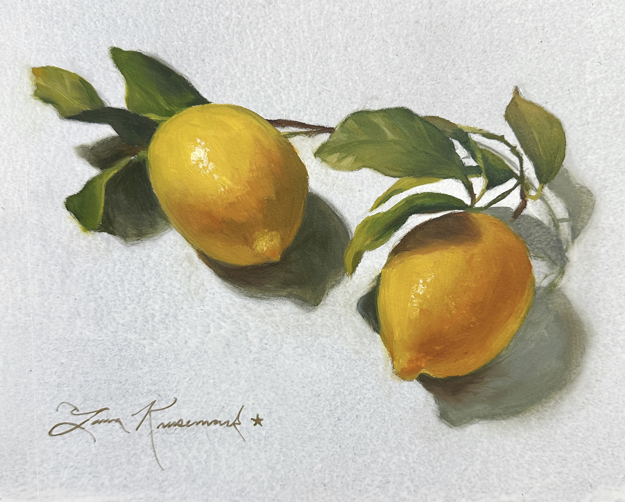 Lemon Love, yellow lemons with green leaves on white background, 2026 oil painting on wood panel by Laura L. Krusemark