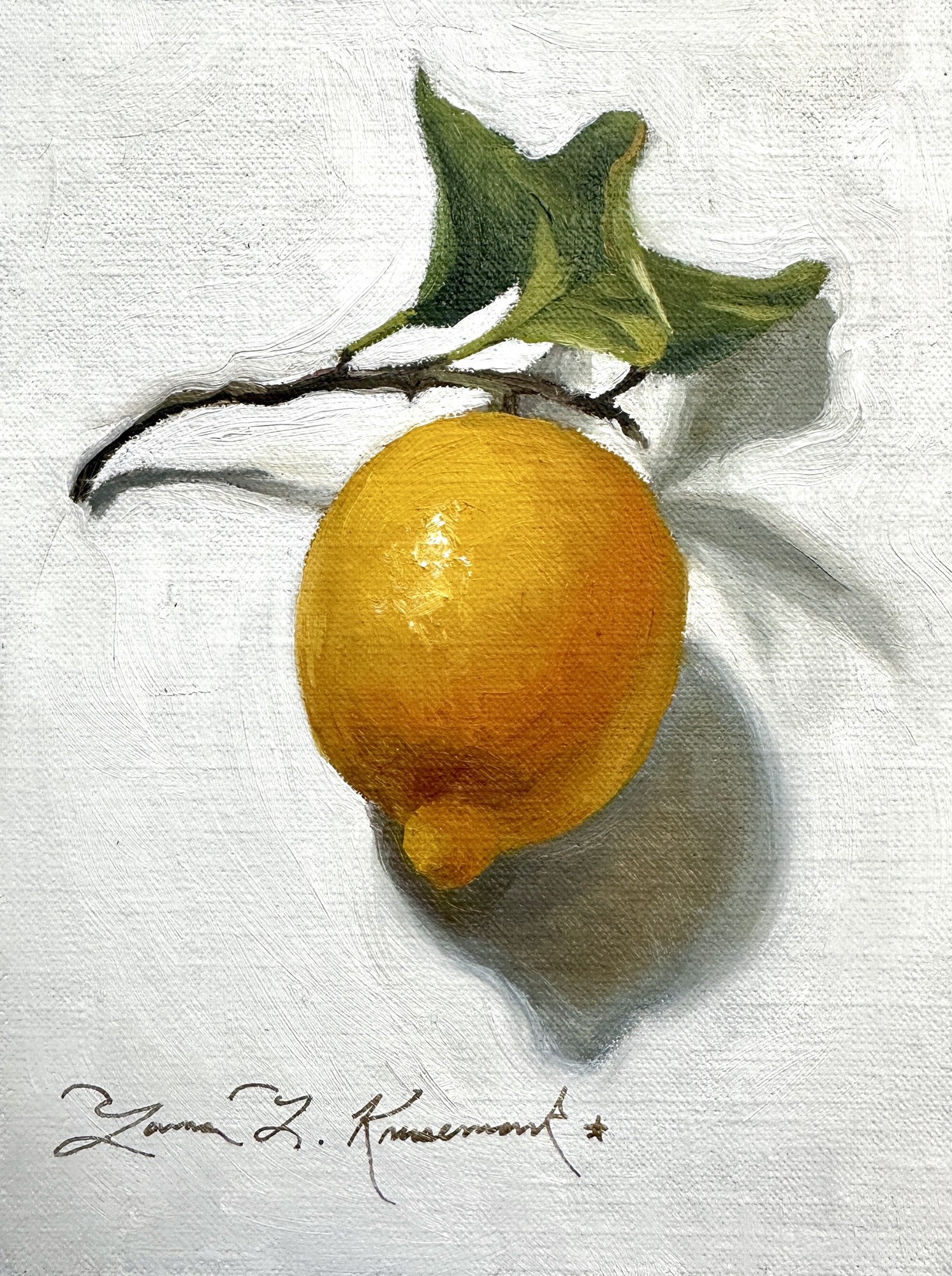 Lemon Study 3, yellow lemon with green leaves on white background, 2026 oil painting on canvas by Laura L. Krusemark