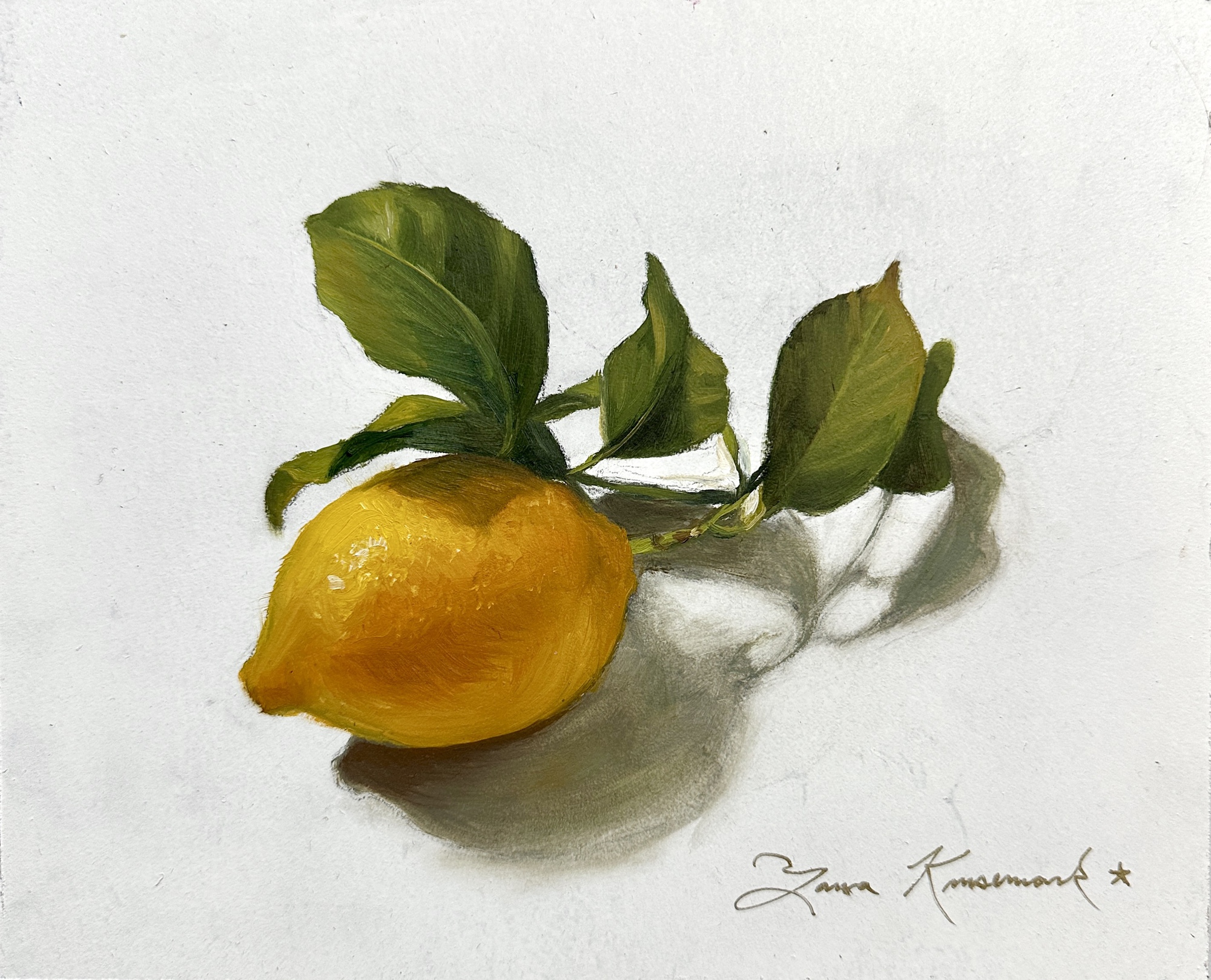 Lemon Study 2, yellow lemon with green leaves on white background, 2026 oil painting on wood panel by Laura L. Krusemark