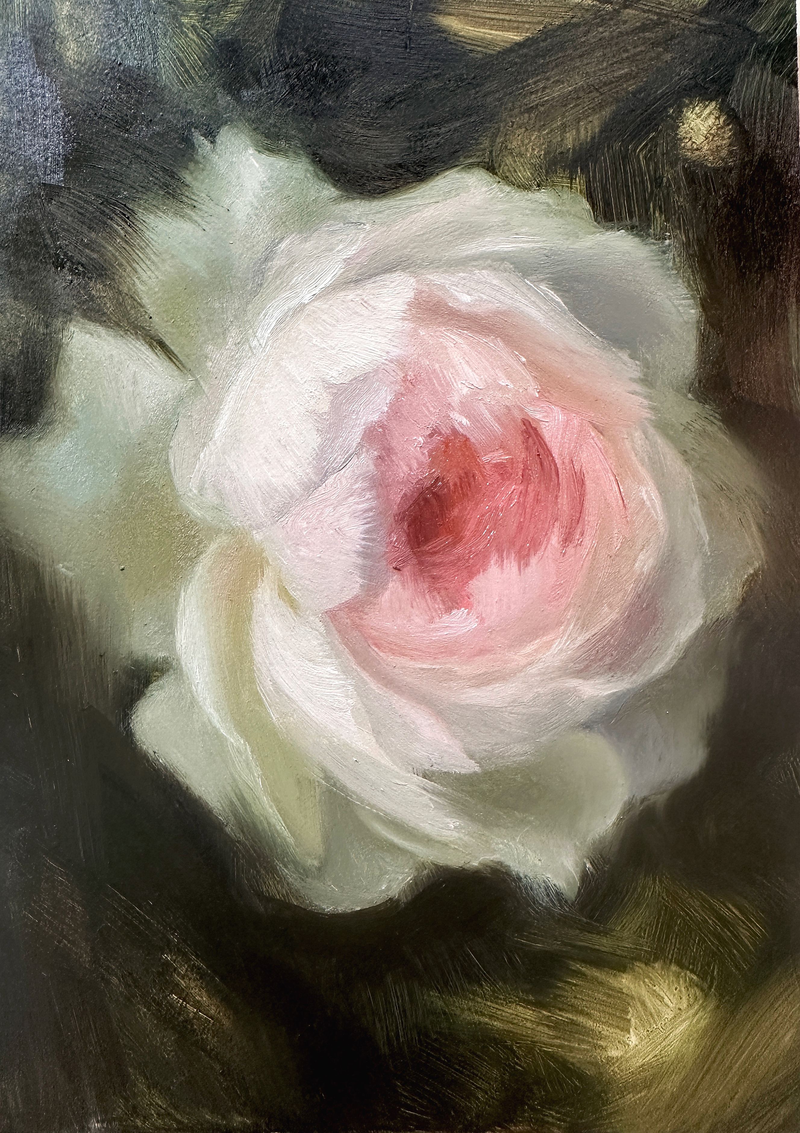 Rose Study IV, Soft impressionist oil painting of a pale blush rose with luminous white petals and a warm pink center, emerging from a dark atmospheric background with expressive, painterly brushwork., 2026 oil painting on wood panel by Laura L. Krusemark